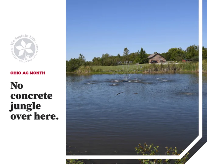 A large pond at the Molly Caren Agricultural Center, with a fountain spraying water in the middle, and a cabin on the opposite side. Text next to the image reads "Ohio Ag Month. No concrete jungle over here."