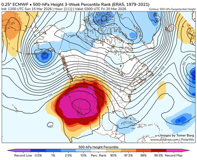 Map, from polarwx.com, of ECMWF model's forecast for 500mb heights later this week and their rank relative to the historical record for March over North America. A giant pink blob is visible over western North America, indicating an absurdly large area of record-breaking 500mb GPH.