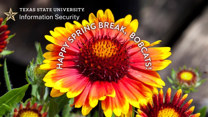 The gaillardia flower, the official flower of Texas State University.