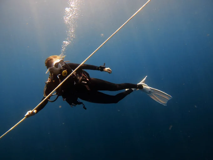 Photo of Lillie Bradshaw diving. 