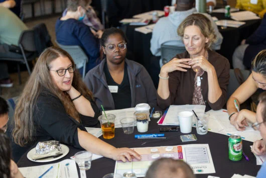 CDR Public Forum at the Museum of Science, Boston