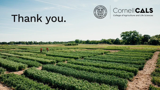 Photo of a Cornell research field. Text reads "Thank You". Includes the CALS and Cornell logos.