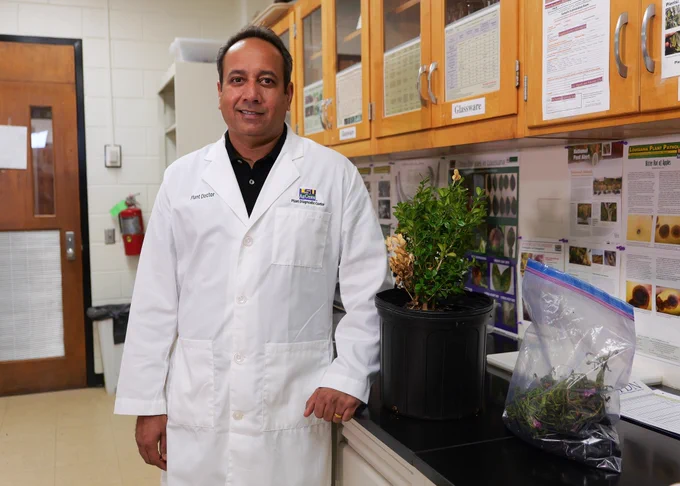 A picture of Dr. Raj Singh in his lab. 