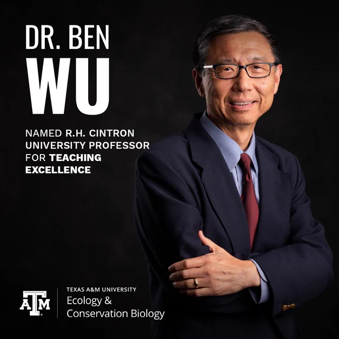 This image features a person with glasses and short, dark hair, smiling and wearing a dark suit with a light shirt. Text on the image reads: "Dr. Ben Wu, named R.H. Cintron University Professor for Teaching Excellence." At the bottom is the Texas A&M University logo with the text "Ecology & Conservation Biology.