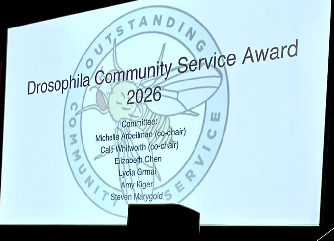 The committee for the 2026 Drosophila Community Service Award for outstanding community service included Michelle Arbeitman (Co-chair), Cale Whitworth (Co-chair), Elizabeth Chen, Lydia Grmai, Amy Kiger, and Steven Marygold.