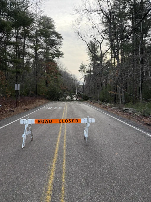 A two-lane road in a wooded area is blocked by a barricade reading \u201CRoad Closed,\u201D with fallen trees visible further down the road.