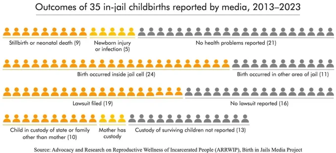 Infographic showing the outcomes of 35 in-jail childbirths reported by media, 2013-2023