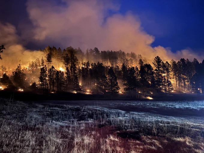 Image of a forest fire at night with snow on the ground