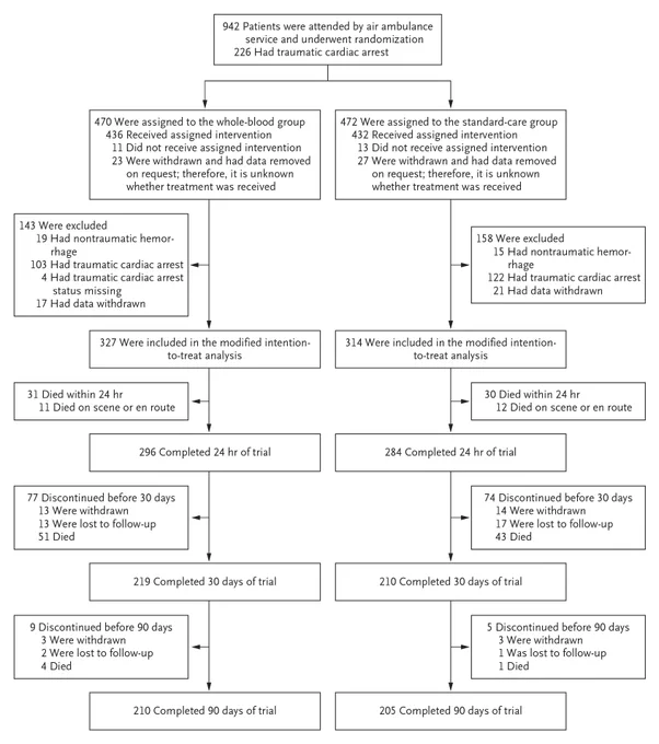 A diagram of the participant screening, randomization, and follow-up.