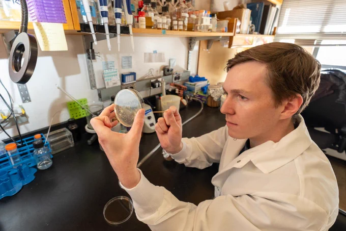 a researcher looking at a sample