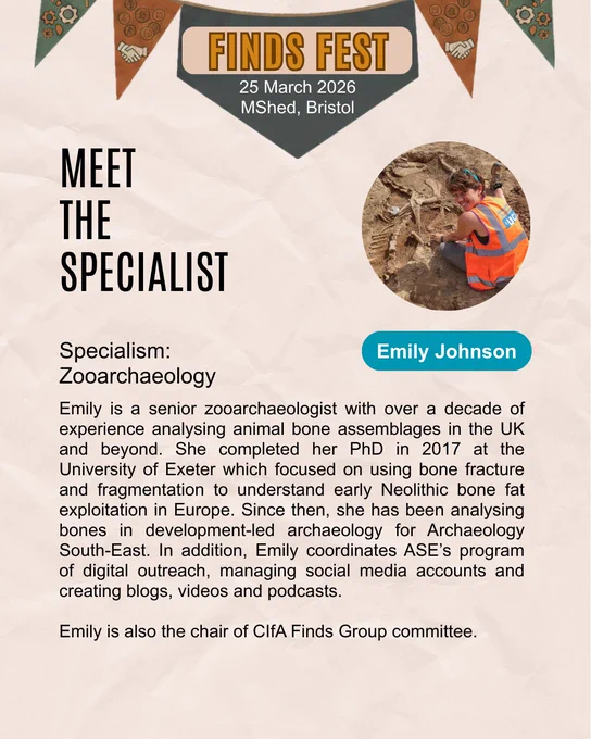 A promotional flyer for "FINDS FEST" featuring Emily Johnson. The event is scheduled for 25 March 2026 at M Shed, Bristol. A circular photo shows Emily in a high-visibility orange vest working on an archaeological excavation site with animal bones. The text identifies her specialism as "Zooarchaeology" and provides a biography detailing her decade of experience, her PhD from the University of Exeter, and her current role at Archaeology South-East. It also mentions her work in digital outreach and her role as chair of the CIfA Finds Group committee. The flyer has a clean, modern design with neutral tones and decorative bunting.