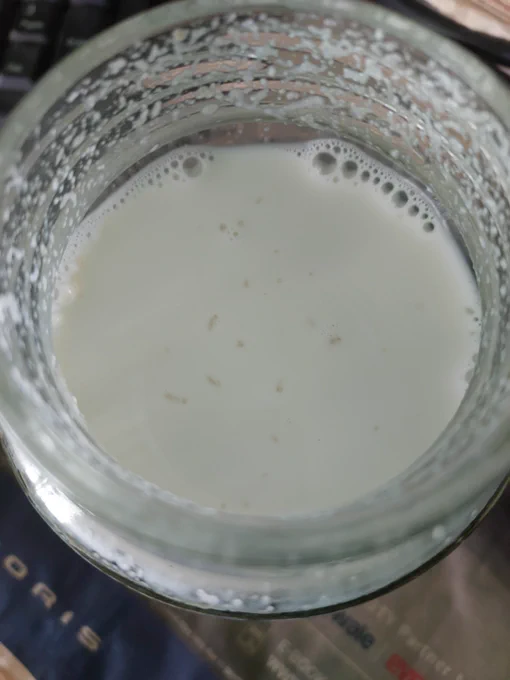 Peanut milk