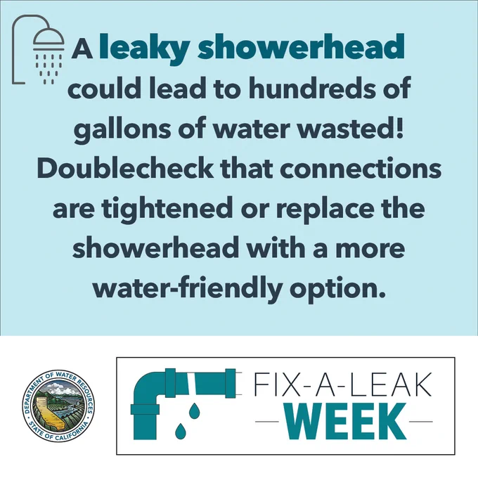 A leaky showerhead could lead to hundreds of gallons of water wasted! Doublecheck that connections are tightened or replace the showerhead with a more water-friendly option.