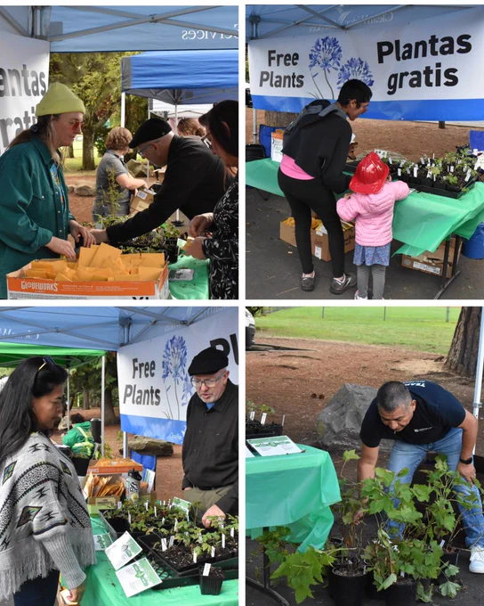 A collage depicting Clean Water Service employees giving a way seeds and plants as well as answering questions. You can see community members grabbing plants as well as asking questions.