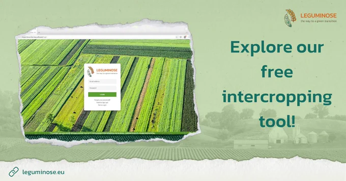 Promotional graphic from LEGUMINOSE reading “Explore our free intercropping tool!” showing a login screen over an aerial view of crop fields, with fields for email and password and a green login button.