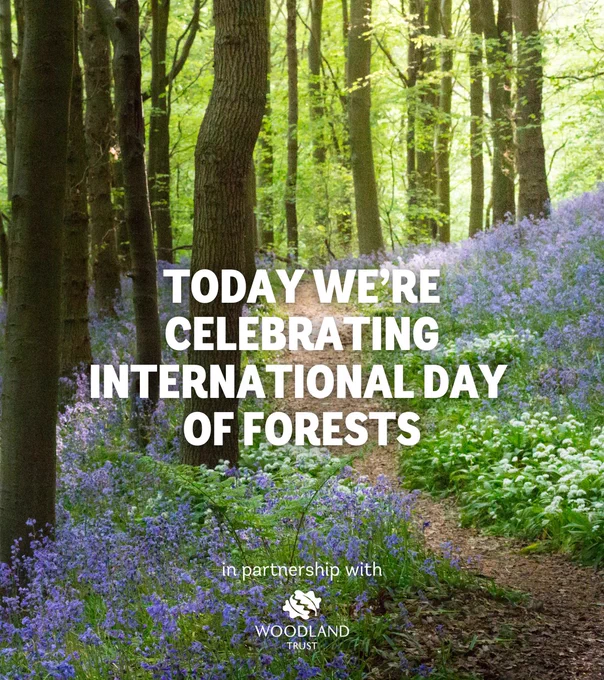 Photo of Forest and bluebells. Image credit: Anita Nicholson/WTML