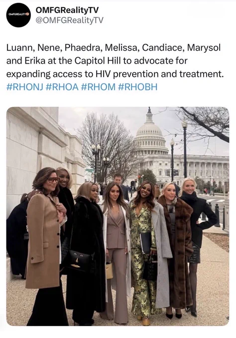 Cast members of Real Housewives posing in front of the Capitol