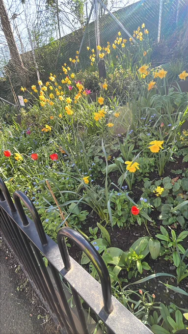 Flowers on Raynes Park embankment