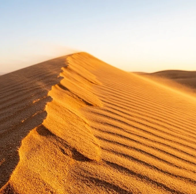 Rippled sand dune