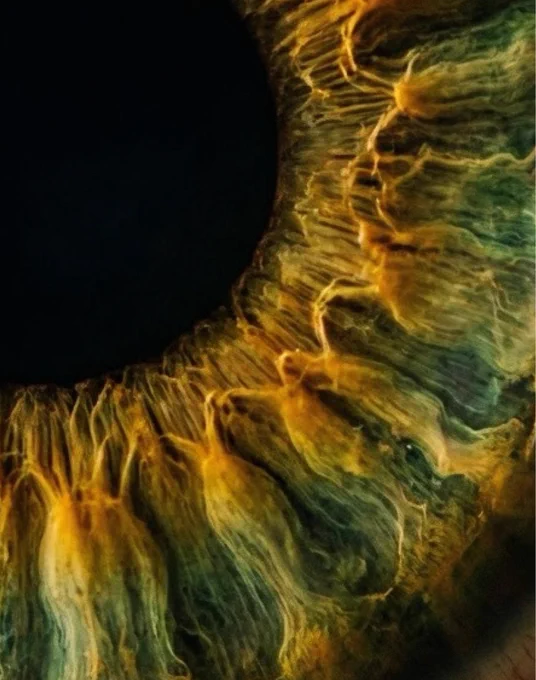 Close up of human eye with green iris