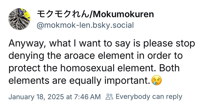 The picture shows Mokumokuren's bluesky post that says, "Anyway, what I want to say is please stop denying the aroace element in order to protect the homosexual element. Both elements are equally important. 😢." 