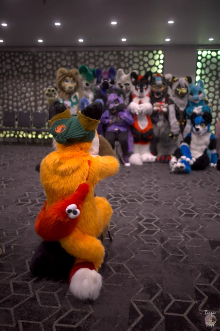 Colto Fox (orange, white, brown and red fox fursuiter) in full fursuit wearing a red worm on a string bag. He's crouched down at a camera taking a photo of a group of LupeSuit fursuiters inside a hotel conference space.