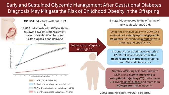 The image is an infographic titled "Early and Sustained Glycemic Management After Gestational Diabetes Diagnosis May Mitigate the Risk of Childhood Obesity in the Offspring." It presents data comparing 191,594 individuals without gestational diabetes mellitus (GDM) and 14,870 individuals with GDM who followed glycemic management strategies. A line graph shows four glycemic management trajectories and their impact on offspring's BMI and obesity risk by age 10. Key findings include a decrease in childhood obesity risk with improved glycemic control during pregnancy. Text boxes highlight statistical associations and findings regarding BMI and obesity risk based on glycemic management.