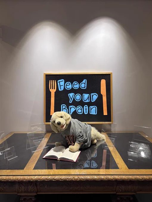 A stuffed golden retriever sitting on a table with empty book stands. There is an open book under his paws.