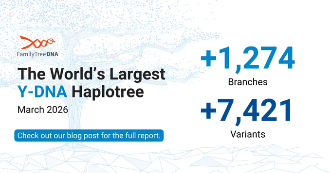 FamilyTreeDNA Y-DNA Haplotree graphic showing March 2026 growth with 1,274 branches and 7,421 variants