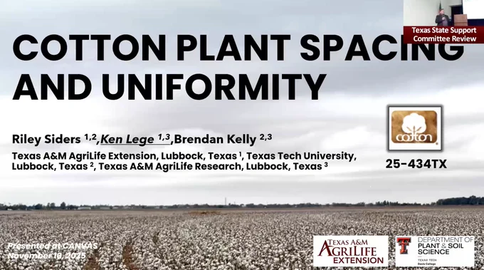Cotton Plant Spacing and Uniformity