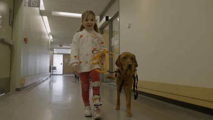 A girl with a limb difference walks down a hallway accompanied by a labrador.