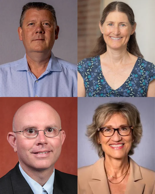 Clockwise from top left: Stephen Hill, Nora Underwood, Michael Roper and Dragana Popović.