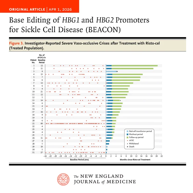 Original Article | APR 1, 2026
Base Editing of HBG1 and HBG2 Promoters for Sickle Cell Disease (BEACON)
Figure 3. Investigator-Reported Severe Vaso-occlusive Crises after Treatment with Risto-cel (Treated Population).