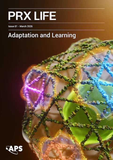 Cover of PRX Life, Issue 01, March 2026, titled “Adaptation and Learning.” A stylized 3D biological scene shows a web-like cytoskeleton structure wrapping around a cell. The network is made of bead-like filaments in green and blue, with glowing, colorful regions and flowing wave patterns suggesting activity, signaling, and learning within the structure.