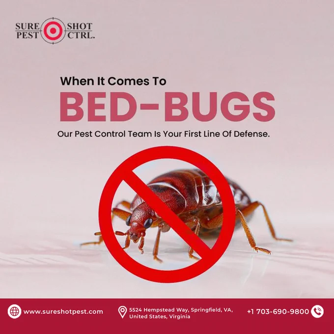 Stop Bed Bugs Early