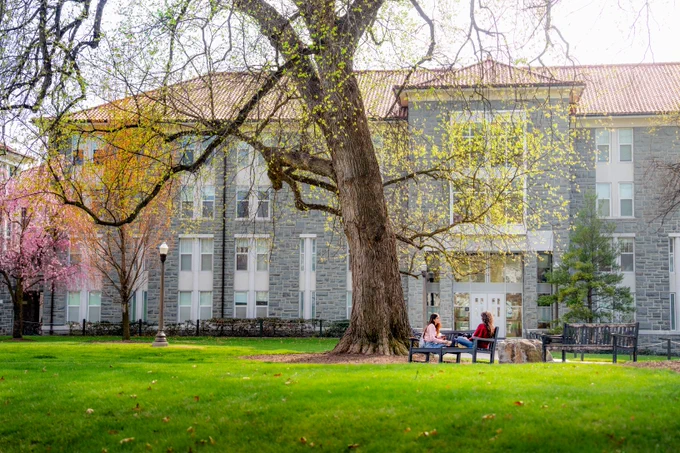 View of a Bluestone building with a large pink and green tree in front. Beside it are students sitting on a nearby bench.