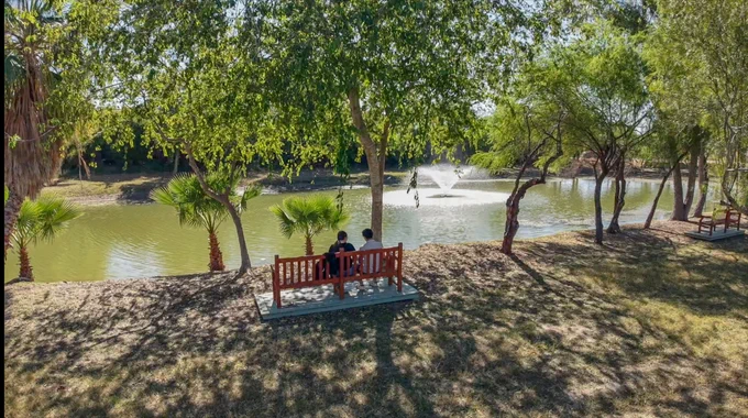 Two students sit on a bench admiring a pond with a fountain around greenery.