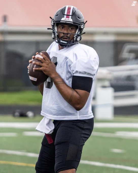 Quarterback readies to make a pass.