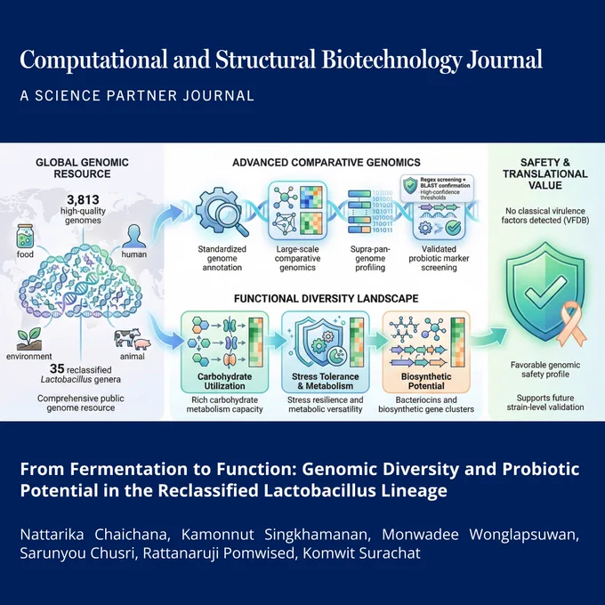 🔗 From Fermentation to Function: Genomic Diversity and Probiotic Potential in the Reclassified Lactobacillus Lineage. Computational and Structural Biotechnology Journal (CSBJ). DOI: https://doi.org/10.34133/csbj.0004

📚 CSBJ - A Science Partner Journal: https://spj.science.org/journal/csbj