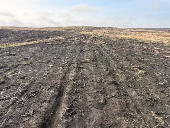 A series of parallel grooves run along burnt ground.