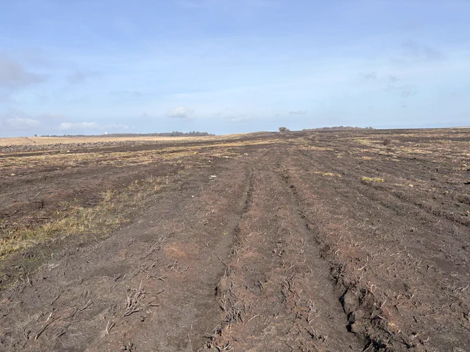 Two parallel grooves run along burnt ground.