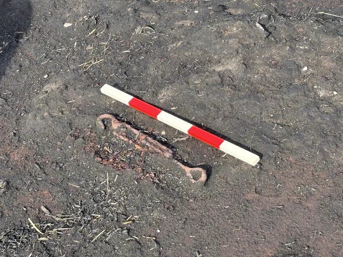 A rusted iron object.