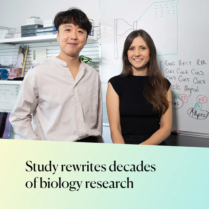 Researchers standing in front of whiteboard with scientific information