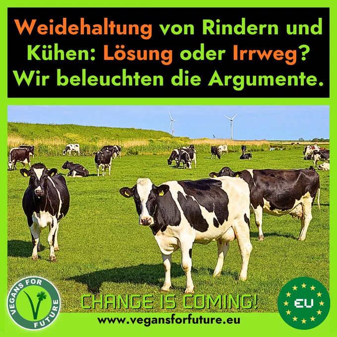Text:
"Weidehaltung von Rindern und Kühen: Lösung oder Irrweg?
Wir beleuchten die Argumente."

Auf dem Bild sieht man eine Weide mit Kühen.