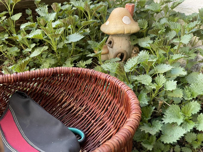 A empty basket by young nettles and a little fairy house