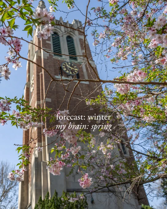 A low-angle shot of Beaumont Tower, framed by blooming cherry blossoms under a blue sky. Text overlay reads \"forecast: winter, my brain: spring.\"
