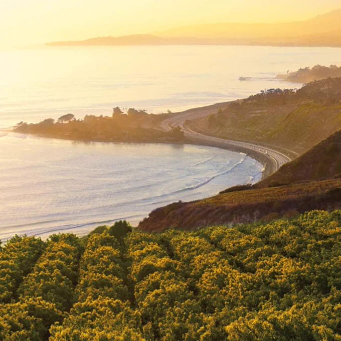 avocado orchards looking out to the Southern California coastline