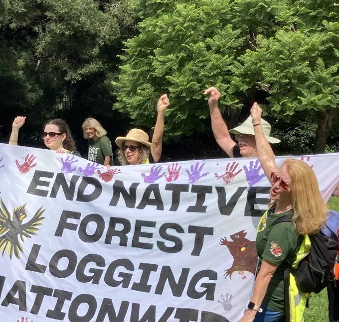 A group of people holding a banner saying “end native forest logging nationwide”