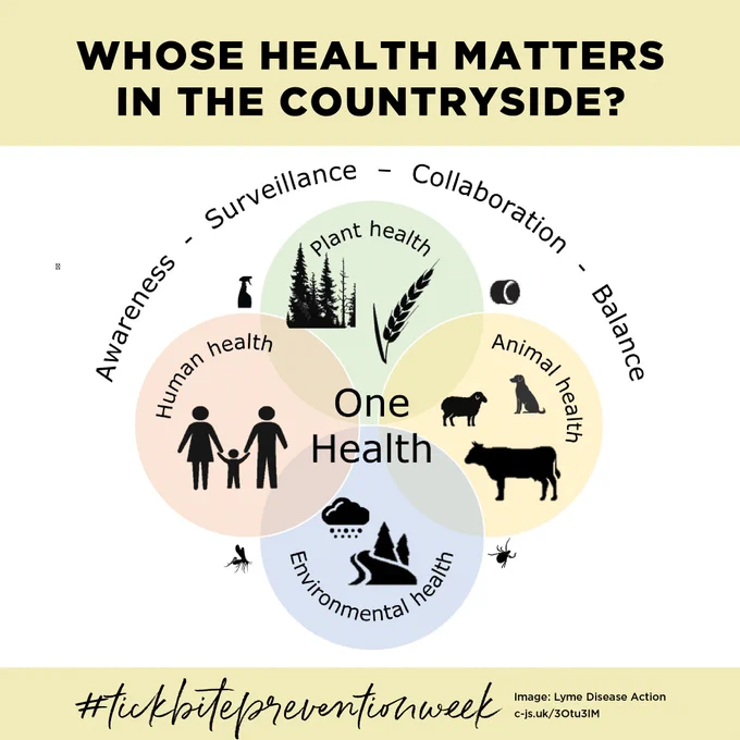 an infographic showing people, plants, animals and landscape. Text reads: Whose Health Matters in the countryside.