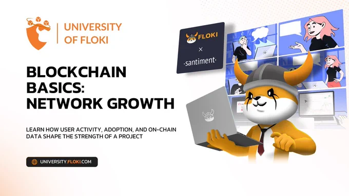 🧑‍🎓 New course on University of Floki: Network growth